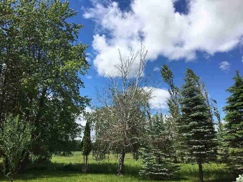 226 West Townline 16 Road Pinconning, MI 48650 - Photo 17 of 19