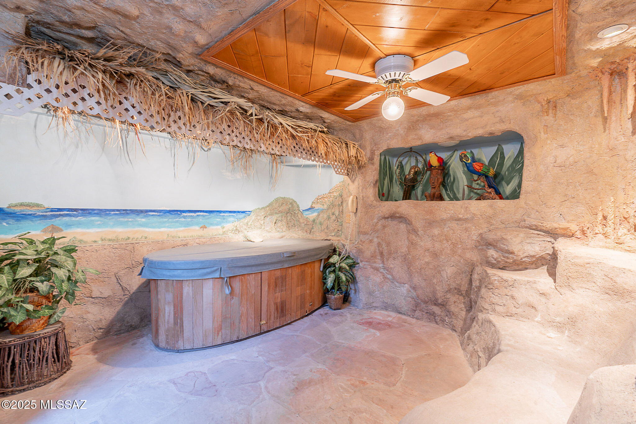 9865 North Willow Loop Tucson, AZ 85739 - Photo 43 of 50 Jacuzzi