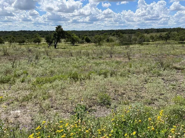 $237,350 | Lot 3 Jung Road, Unit 3, Harper, TX 78631