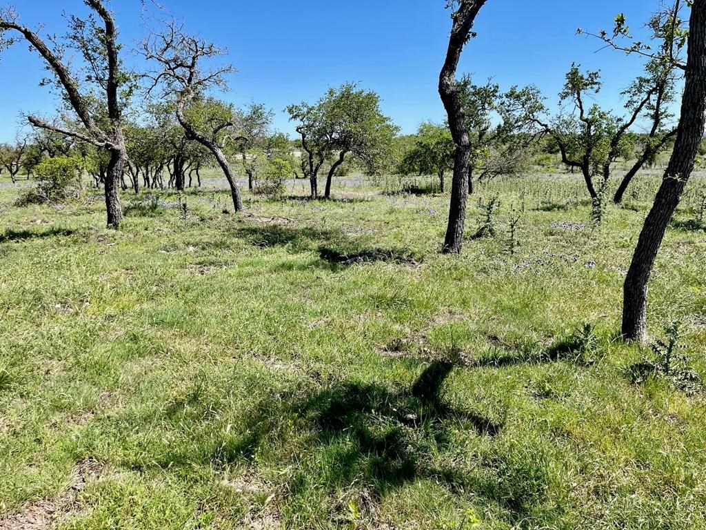 Lot 3 Jung Road, Unit 3 Harper, TX 78631 - Photo 11 of 11