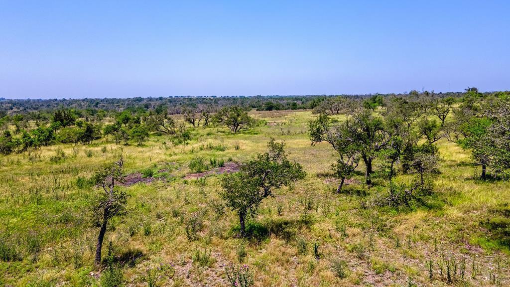 Lot 3 Jung Road, Unit 3 Harper, TX 78631 - Photo 2 of 11