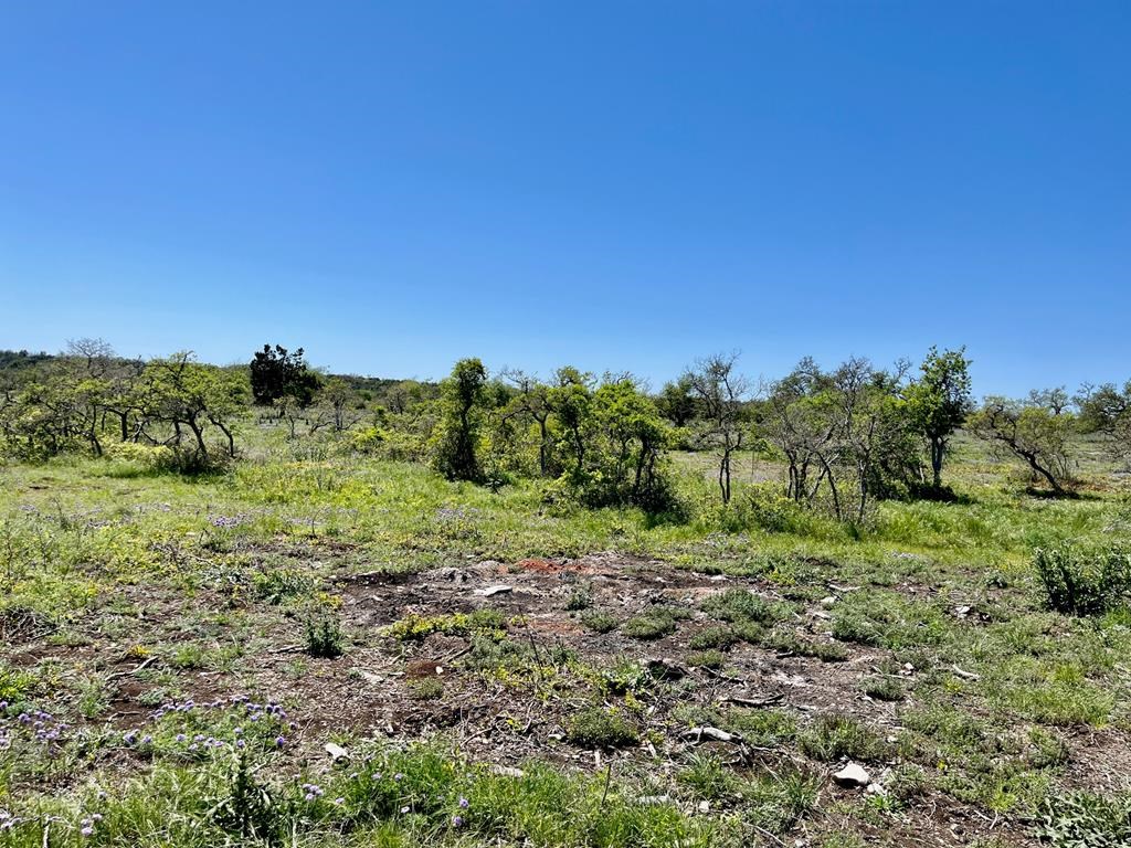 Lot 3 Jung Road, Unit 3 Harper, TX 78631 - Photo 6 of 11
