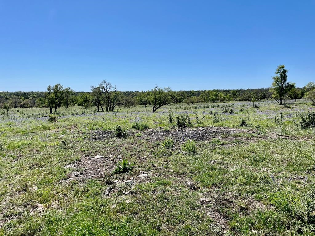 Lot 3 Jung Road, Unit 3 Harper, TX 78631 - Photo 7 of 11