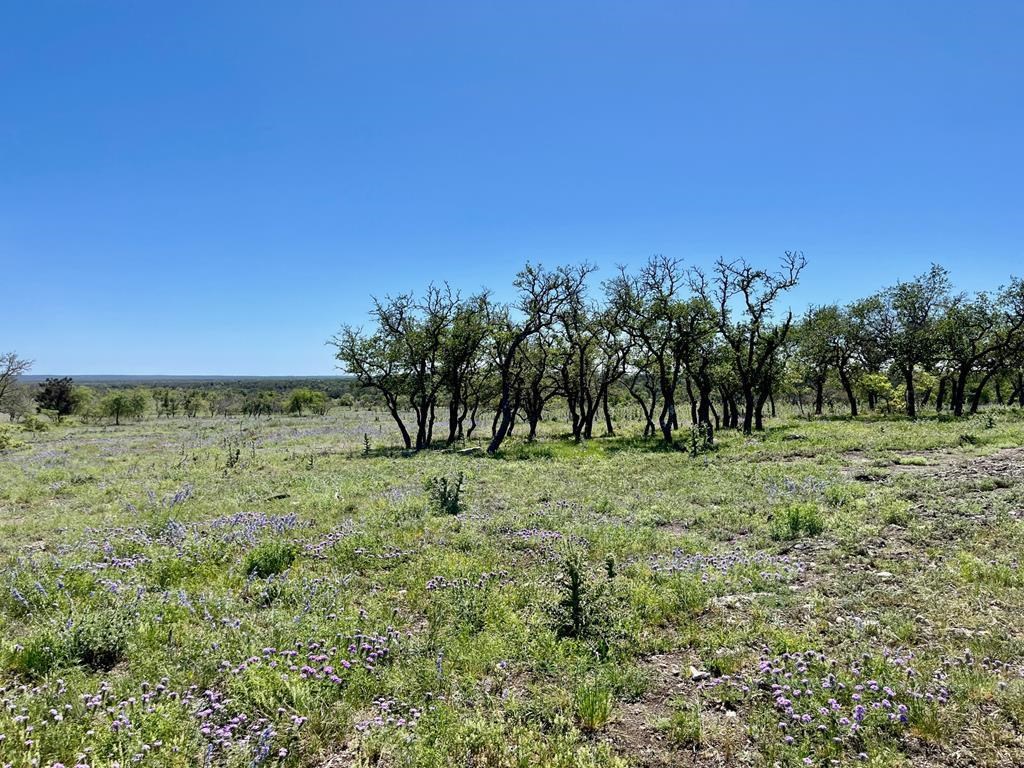 Lot 3 Jung Road, Unit 3 Harper, TX 78631 - Photo 8 of 11