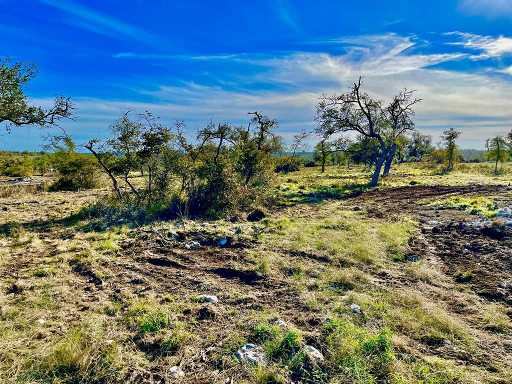 Lot 3 Jung Road, Unit 3 Harper, TX 78631 - Photo 9 of 11