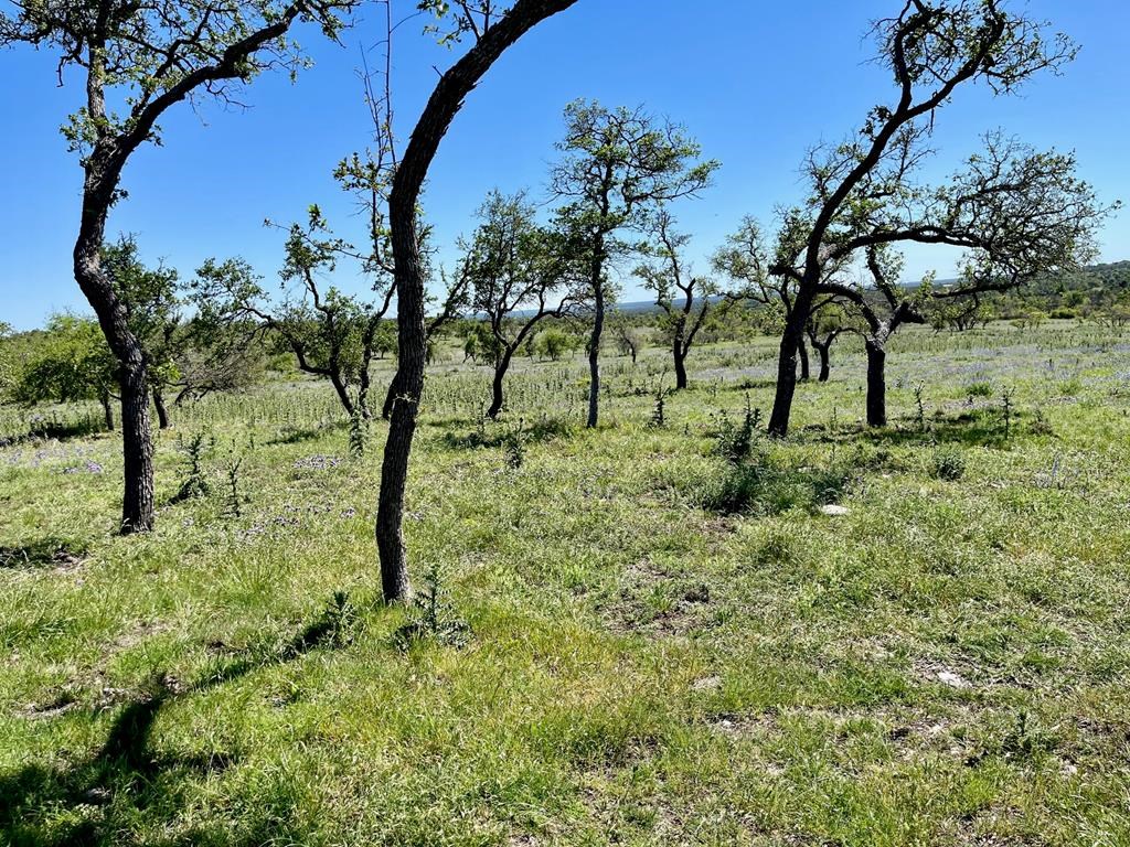 Lot 3 Jung Road, Unit 3 Harper, TX 78631 - Photo 10 of 11