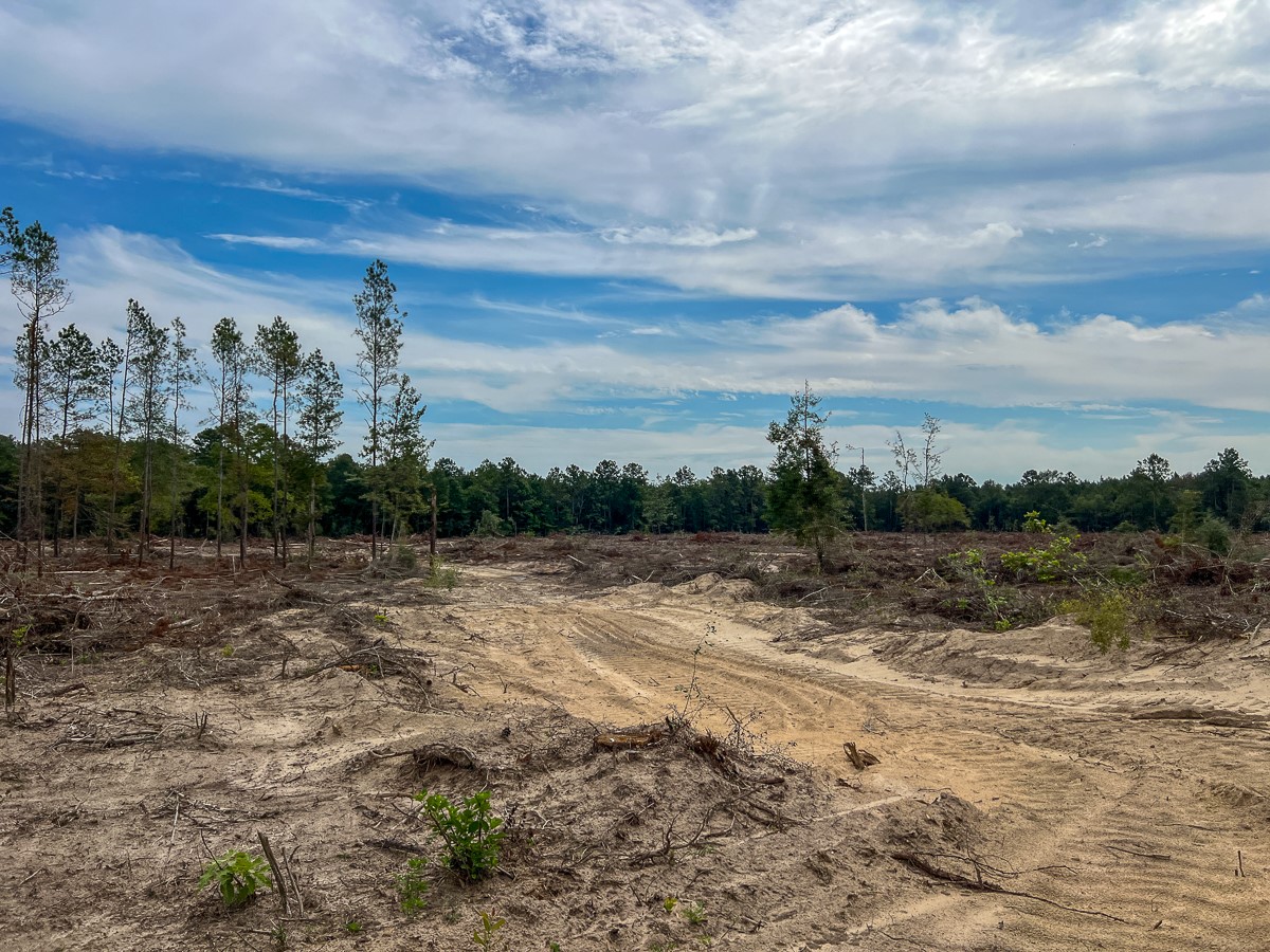 2 Fm 1416 Bon Wier, TX 75928 - Photo 8 of 17 a view of lake with mountain