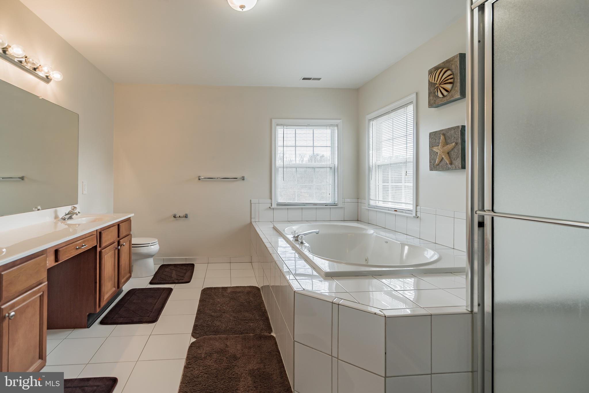 7455 Old Easton Road Pipersville, PA 18947 - Photo 22 of 33 Master Bath