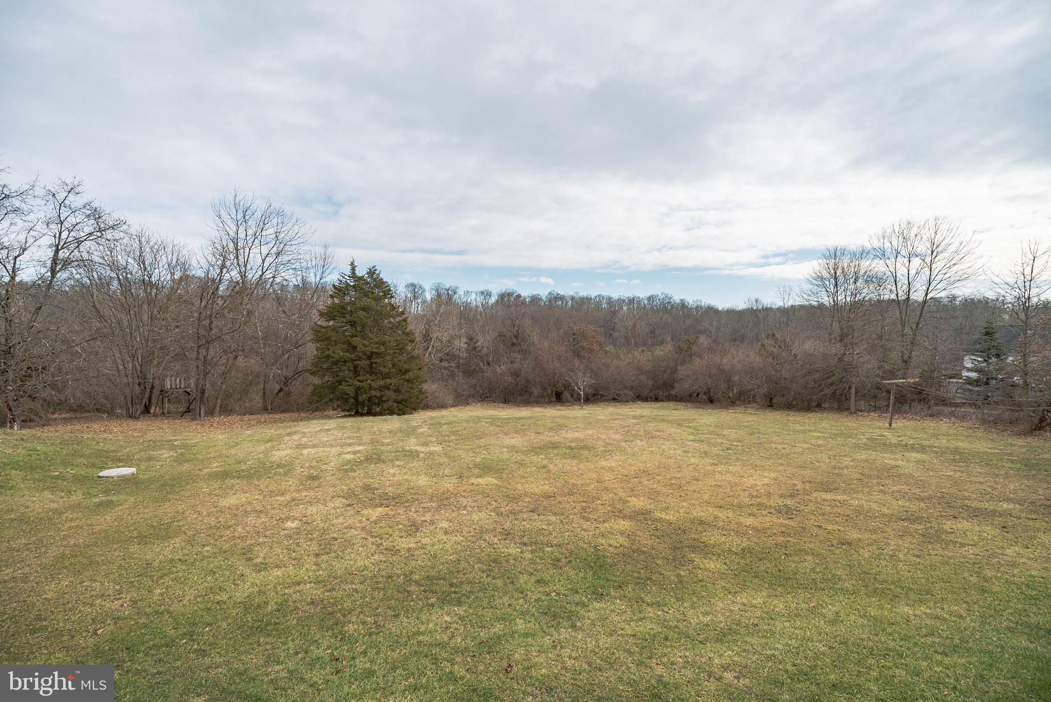7455 Old Easton Road Pipersville, PA 18947 - Photo 30 of 33 Rear Yard