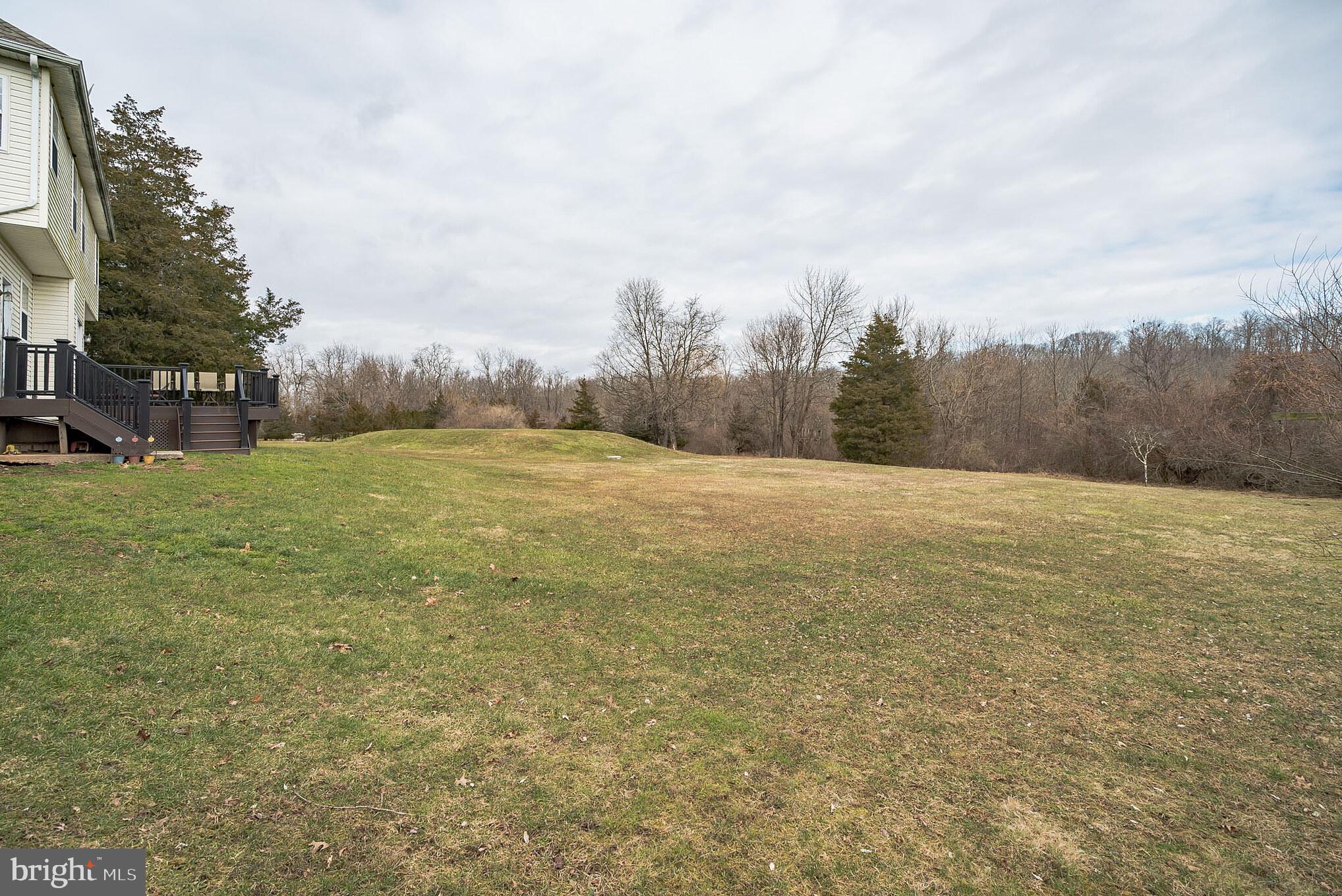 7455 Old Easton Road Pipersville, PA 18947 - Photo 31 of 33 Rear Yard