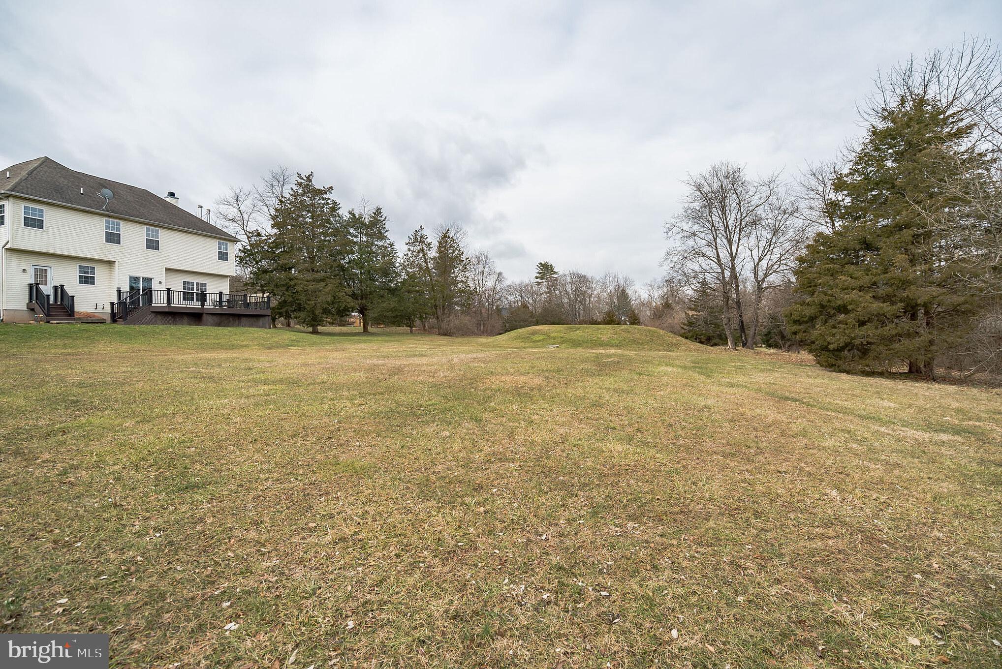 7455 Old Easton Road Pipersville, PA 18947 - Photo 32 of 33 Rear Yard