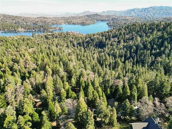 a view of a forest with a lake