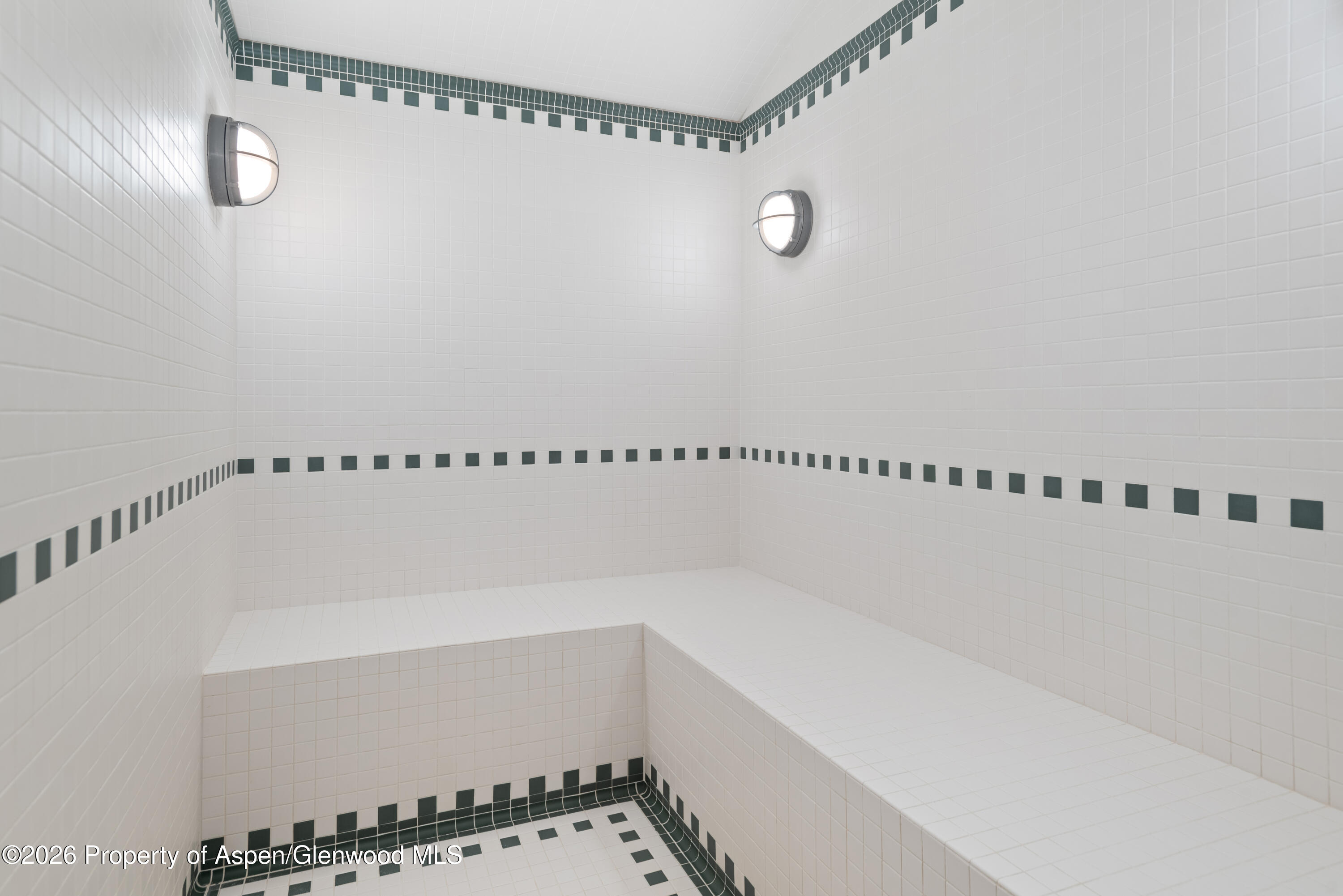 2131 Red Mountain Road Aspen, CO 81612 - Photo 24 of 31 a view of a bathroom with a window