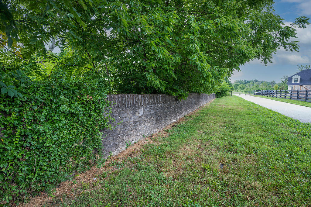 2205 Rutledge Avenue Lexington, KY 40509 - Photo 59 of 60 TDB_2378