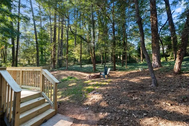 a view of a park with large trees