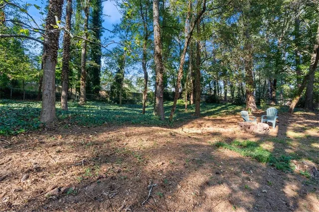 a view of a tree in the middle of a yard