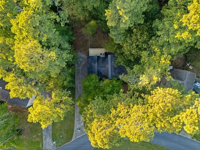 a view of a garden with plants