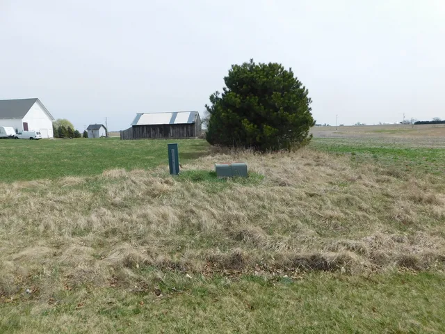 a view of a green field with an trees