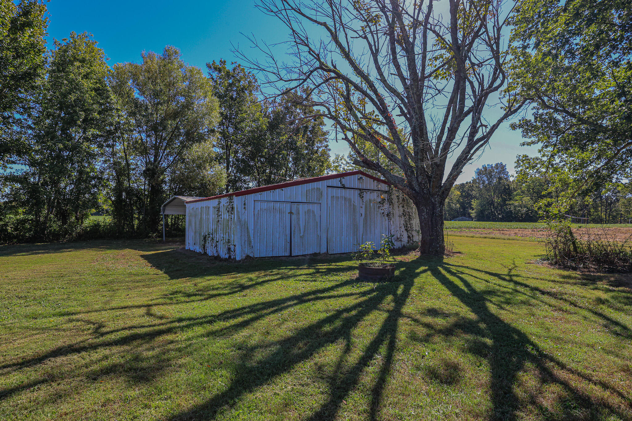 4289 Jackson School Road Benton, KY 42025 - Photo 34 of 35 Outbuilding