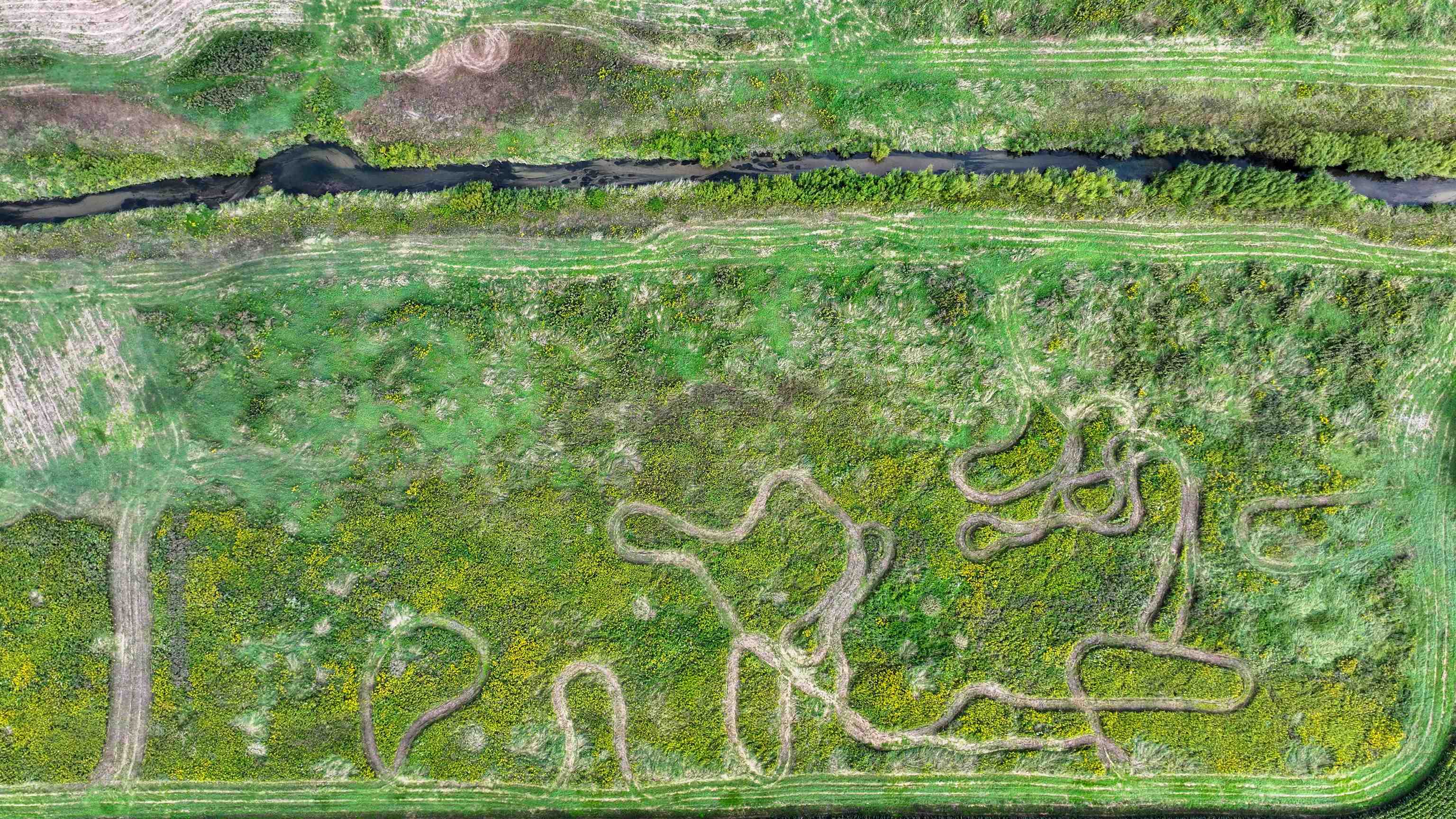 44.61-acres Valley View Road New Glarus, WI 53574 - Photo 11 of 20