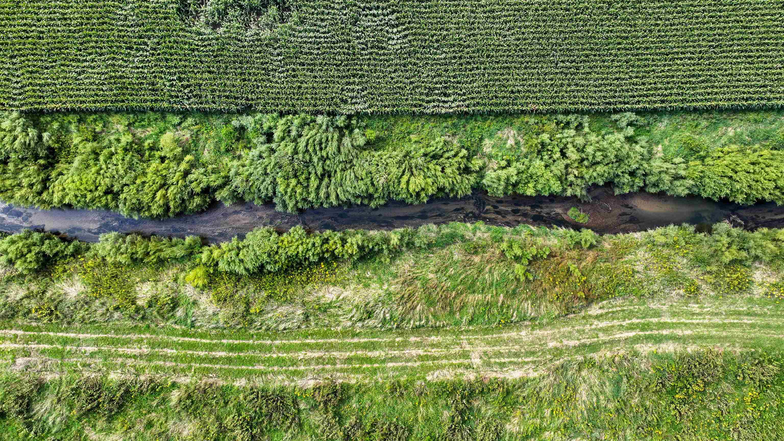 44.61-acres Valley View Road New Glarus, WI 53574 - Photo 2 of 20