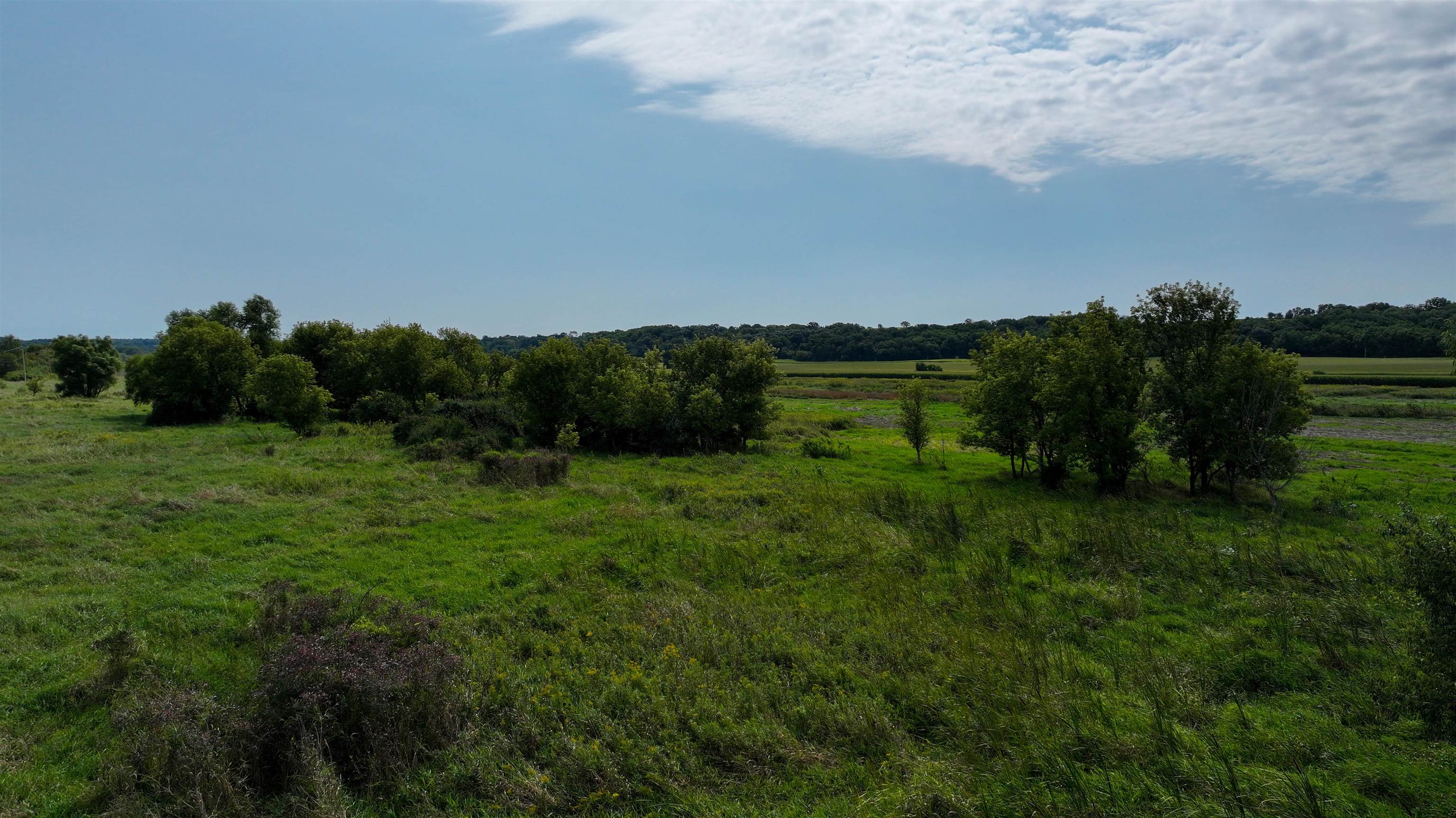 44.61-acres Valley View Road New Glarus, WI 53574 - Photo 7 of 20