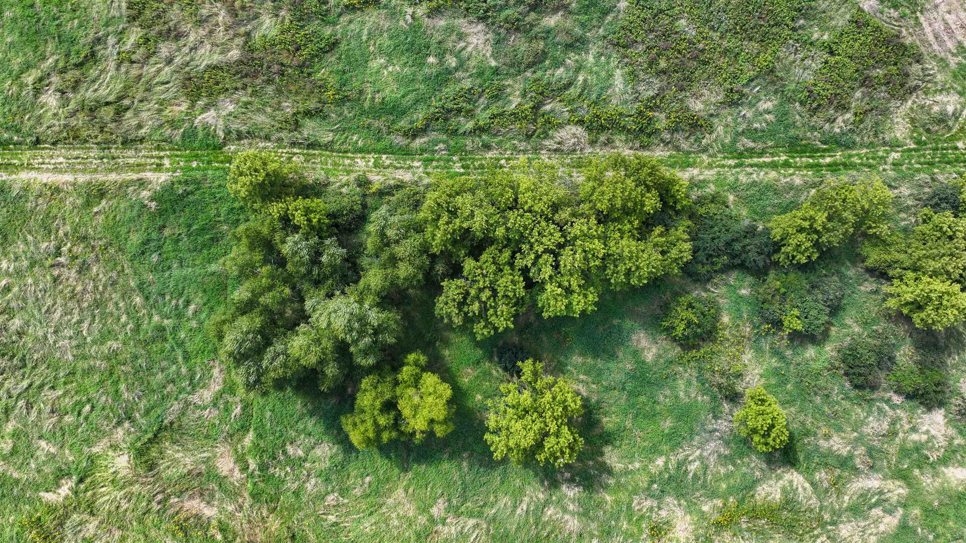 44.61-acres Valley View Road New Glarus, WI 53574 - Photo 9 of 20