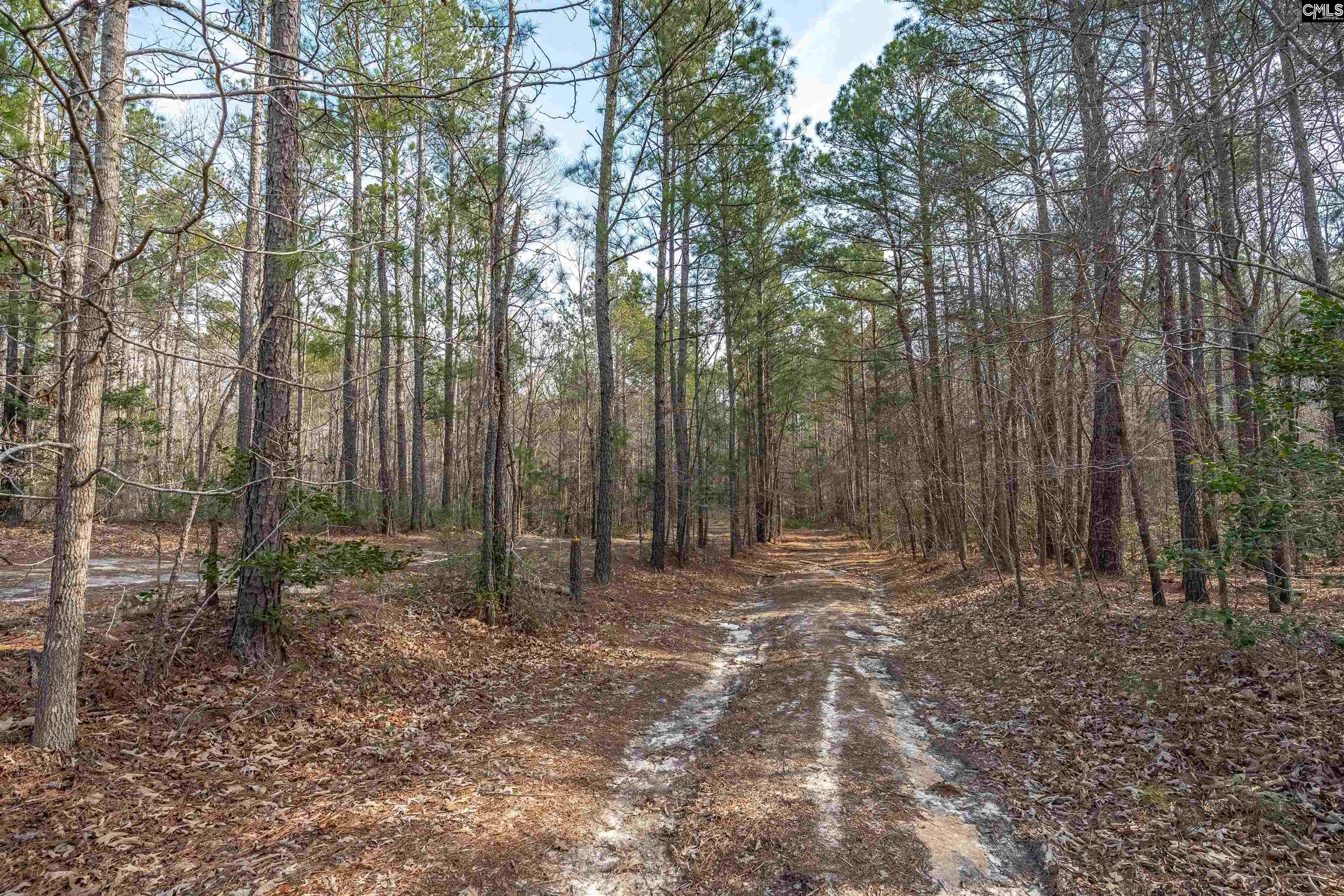2070 Hwy Church Road Elgin, SC 29045 - Photo 10 of 14