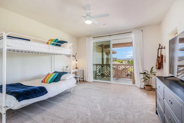 a potted plant sitting in front of a glass door