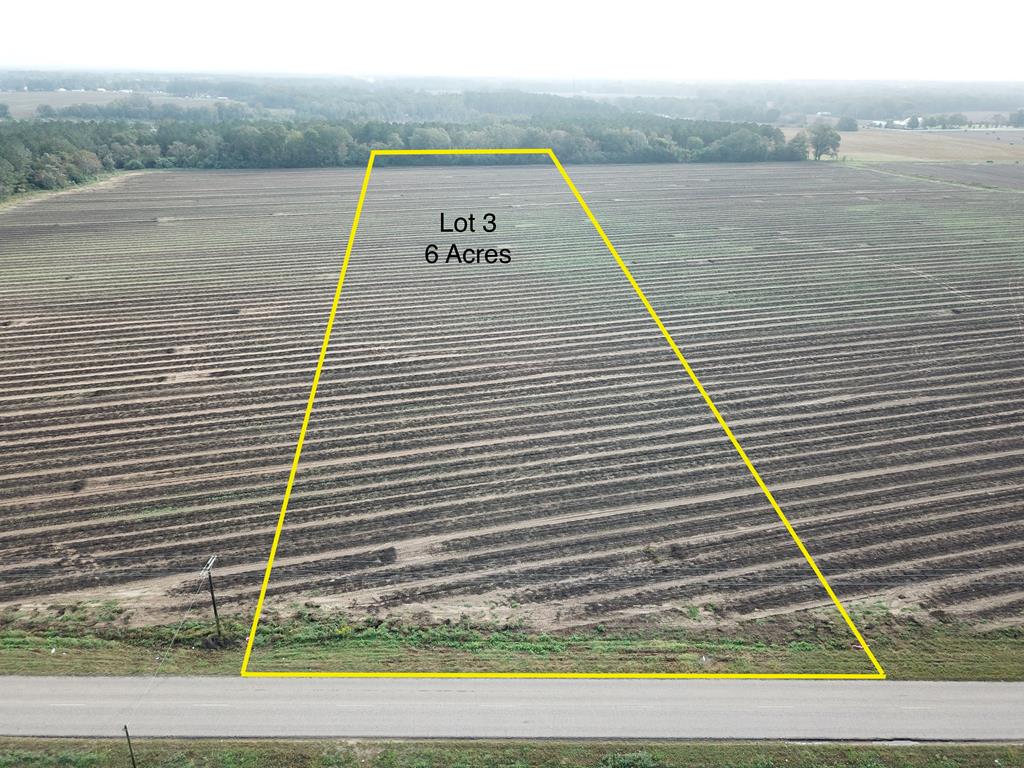 49 6-acres County Road Slocomb, AL 36375 - Photo 1 of 1