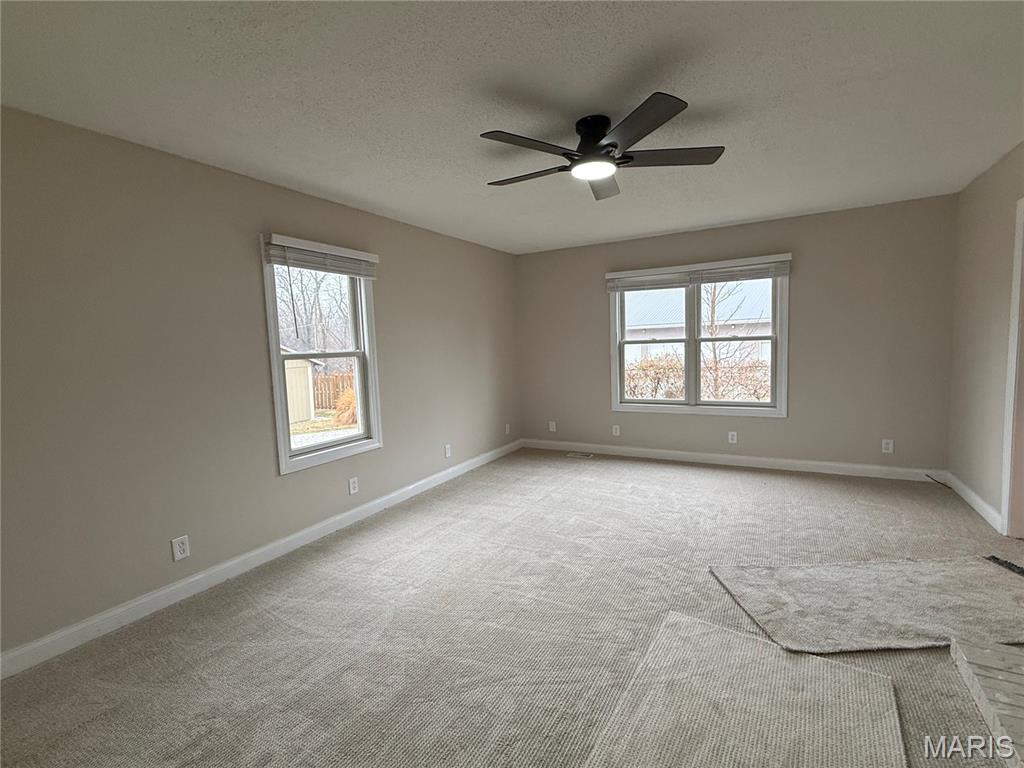 4506 Drda Lane Edwardsville, IL 62025 - Photo 8 of 23
