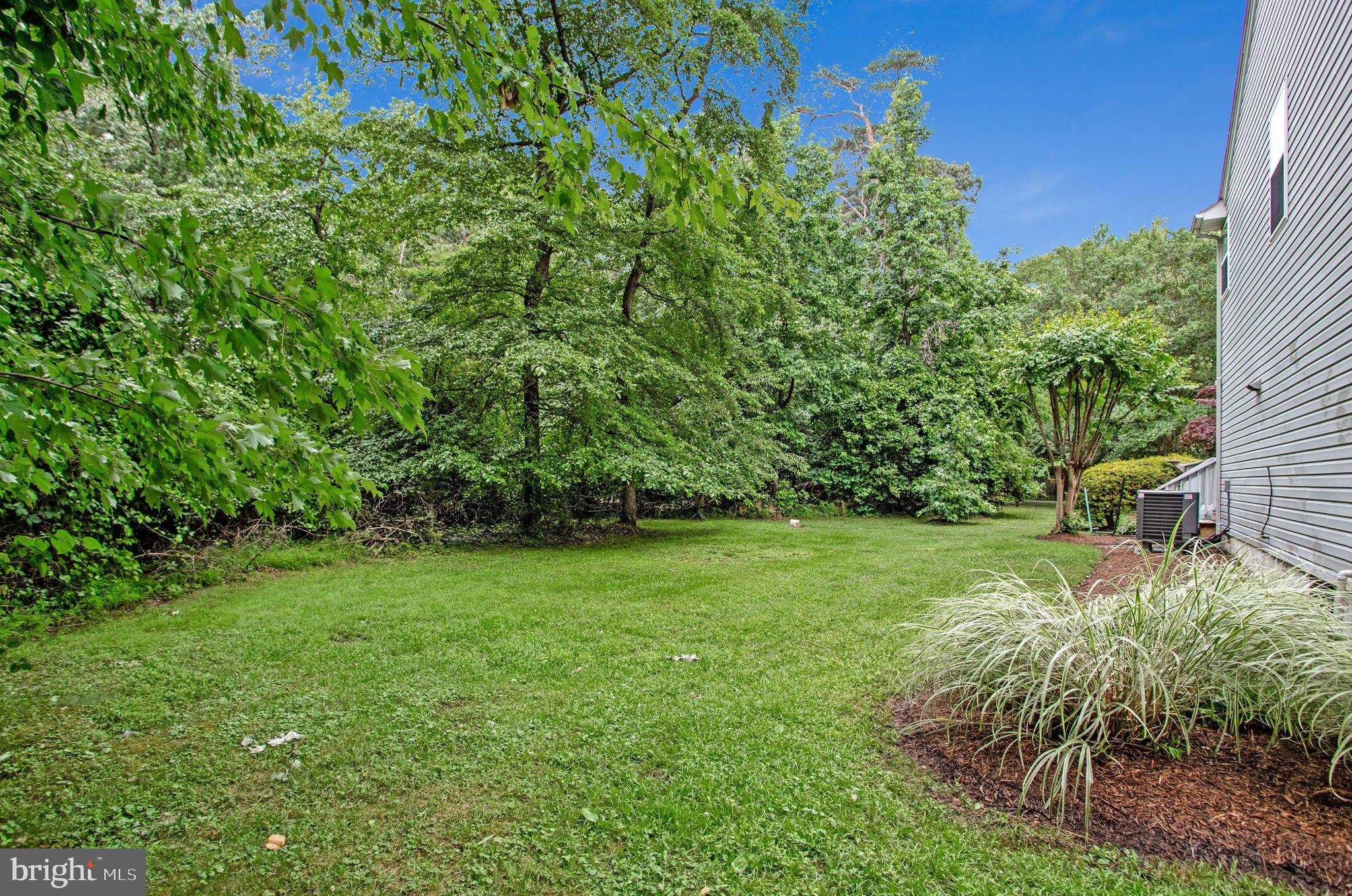 1582 Snug Harbor Road Shady Side, MD 20764 - Photo 5 of 53 Lush green retreat in serene surroundings.