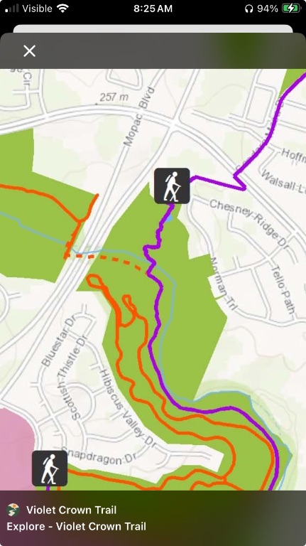 4816 Norman Trail Austin, TX 78749 - Photo 19 of 19 a view of a swimming pool with an outdoor space