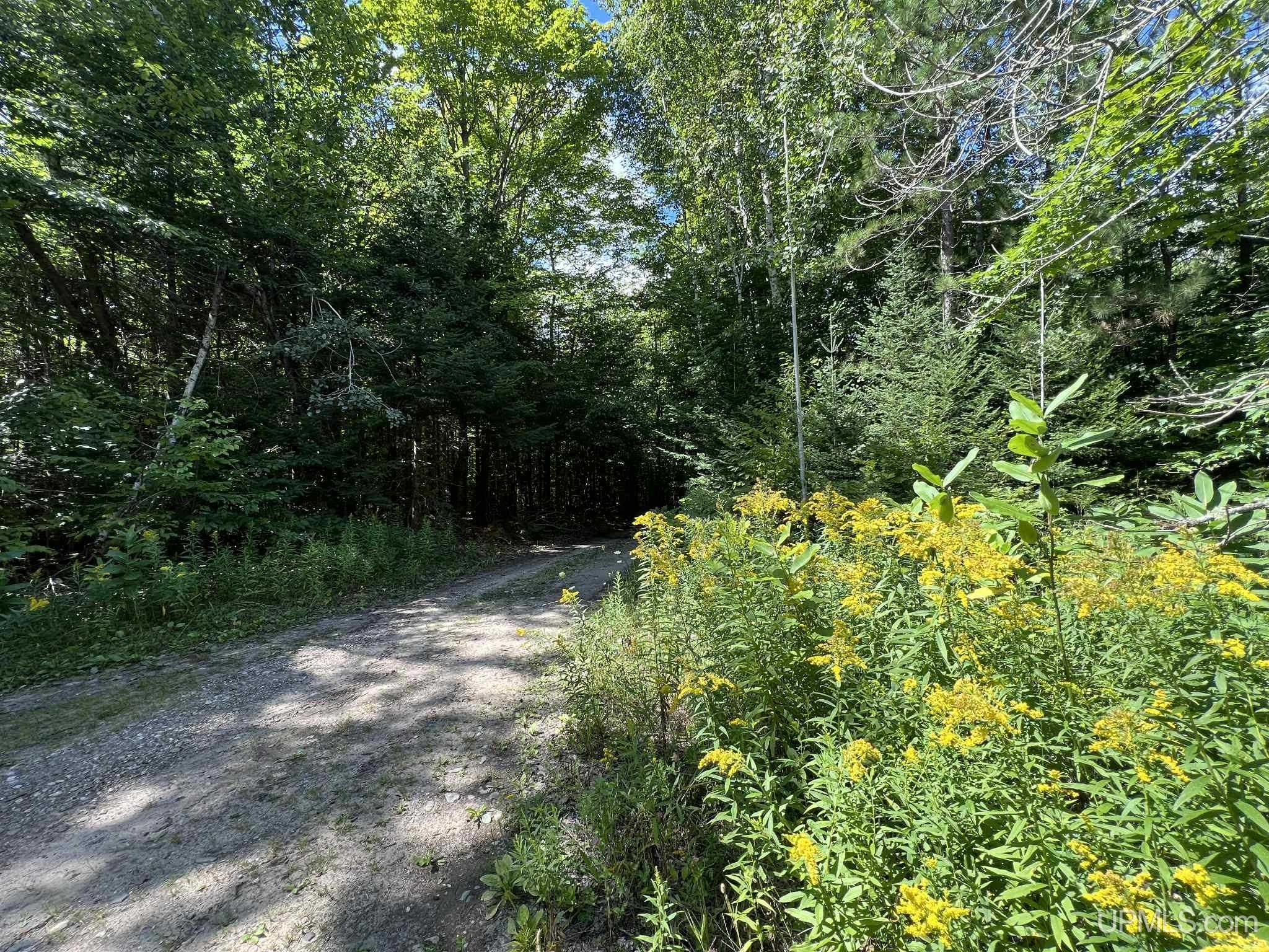 Lake Street Germfask, MI 49836 - Photo 9 of 36