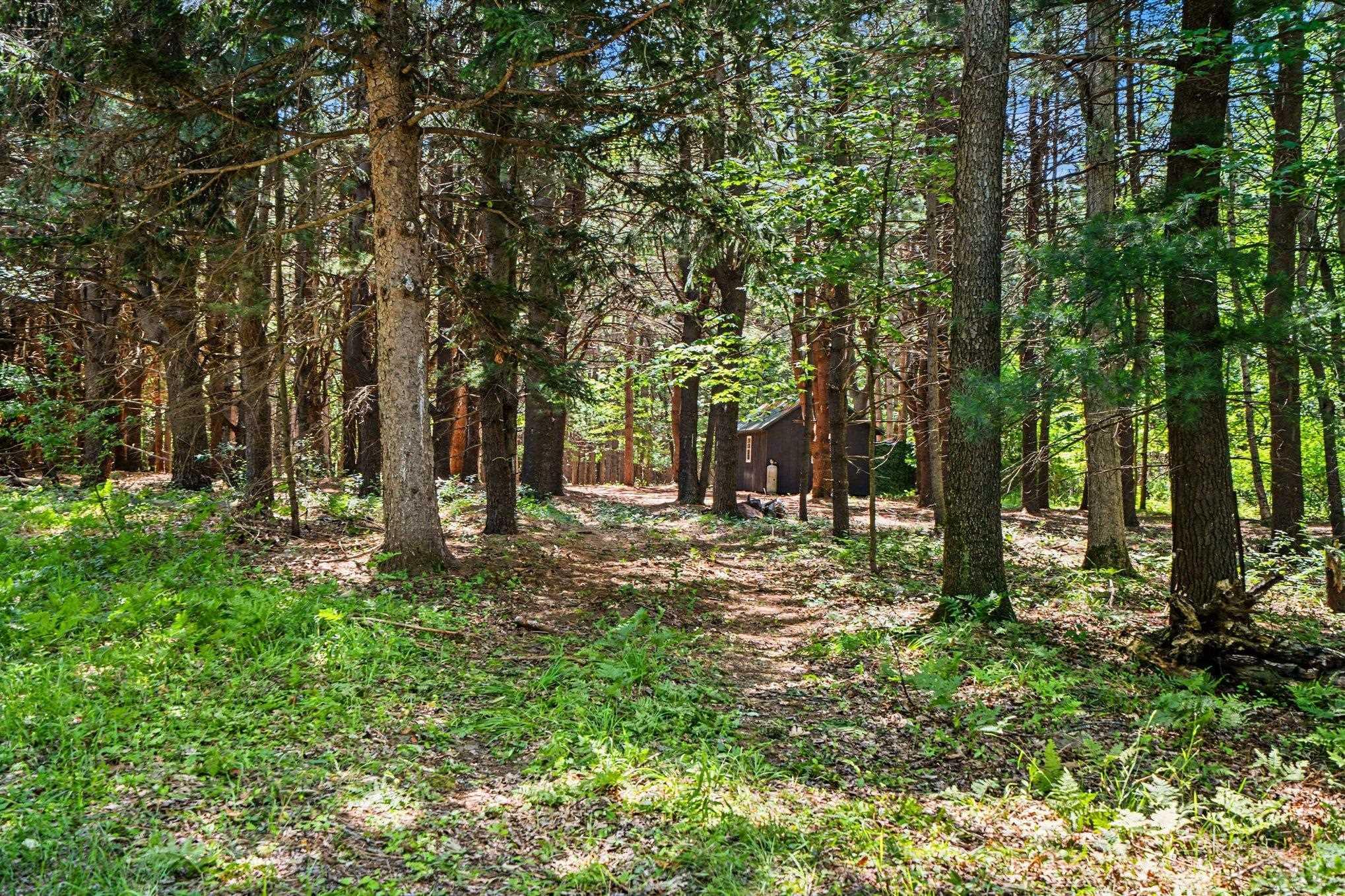 South Fenmore Road Merrill, MI 48637 - Photo 4 of 31