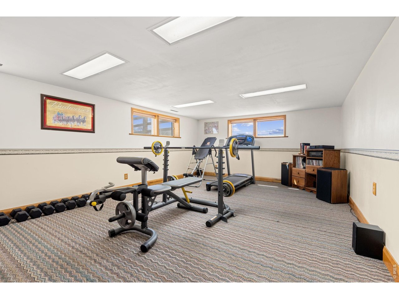 218 Bothun Road Berthoud, CO 80513 - Photo 16 of 35 Downstairs Family Room is currently being used as a Home Gym.