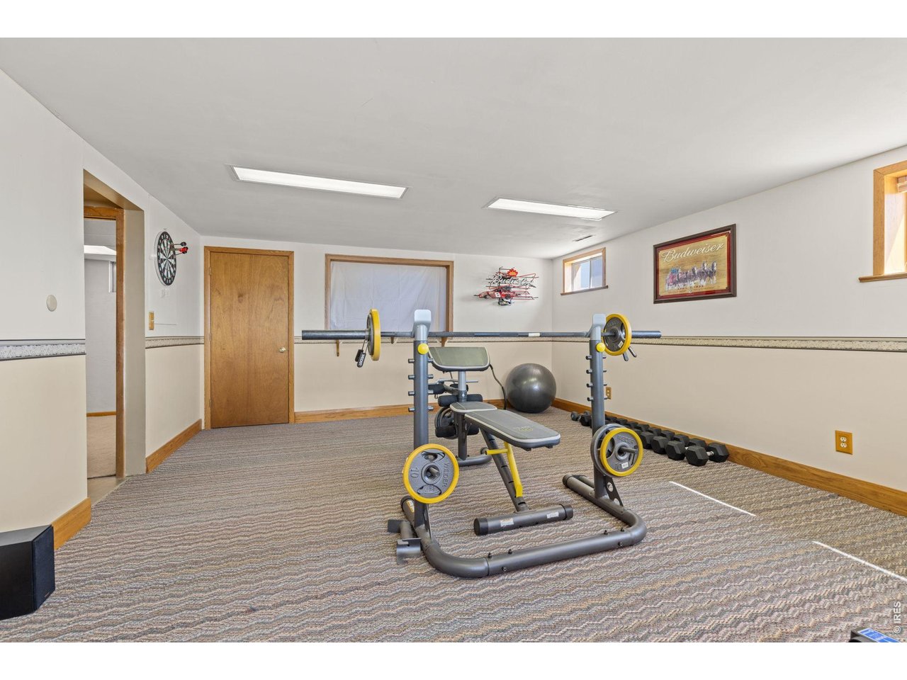 218 Bothun Road Berthoud, CO 80513 - Photo 17 of 35 Downstairs Family Room is currently being used as a Home Gym. Additional storage behind the door.