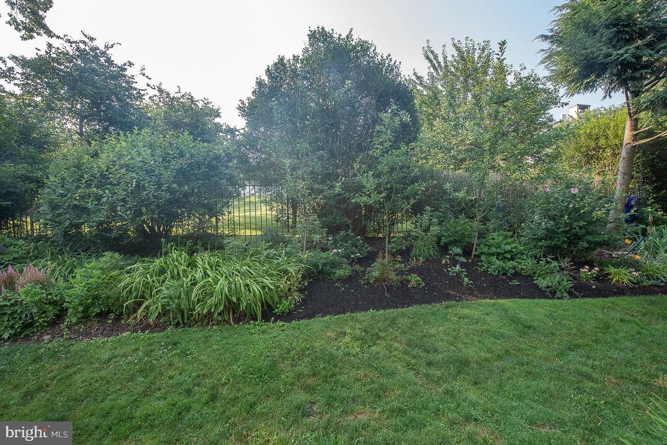 204 Brighton Road Devon, PA 19333 - Photo 29 of 29 View out the back