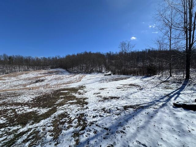 7082 Furnace Road Stanton, KY 40380 - Photo 7 of 27 IMG_3005