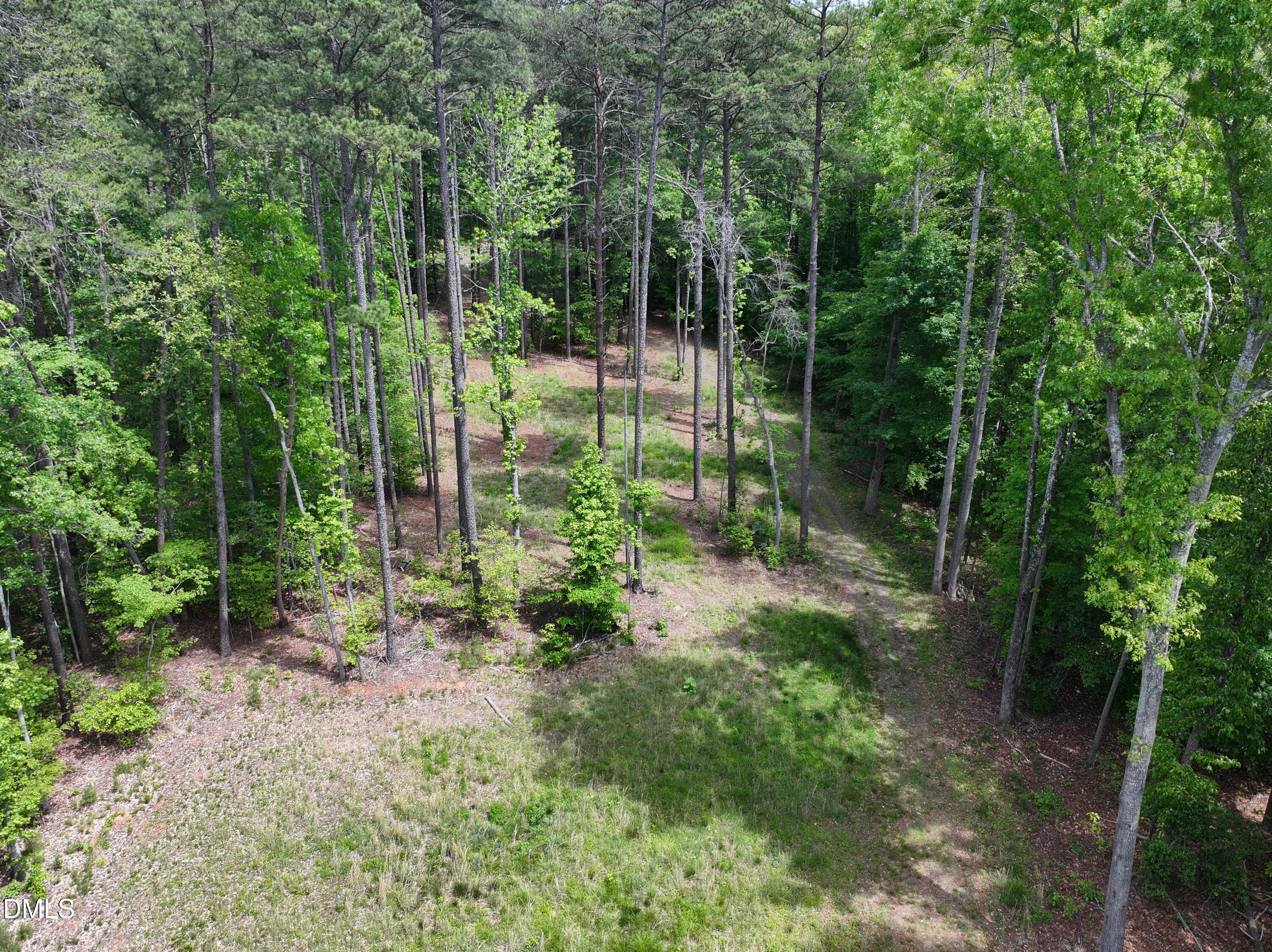 75 Max Finn Lane Roxboro, NC 27574 - Photo 6 of 17 a view of forest
