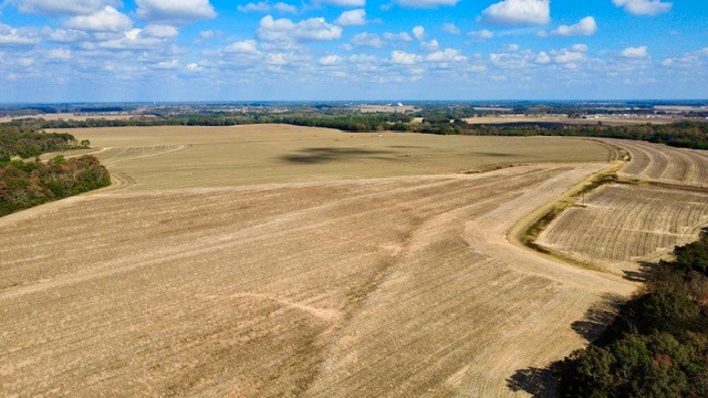 Undisclosed Address Headland, AL 36345 - Photo 16 of 36