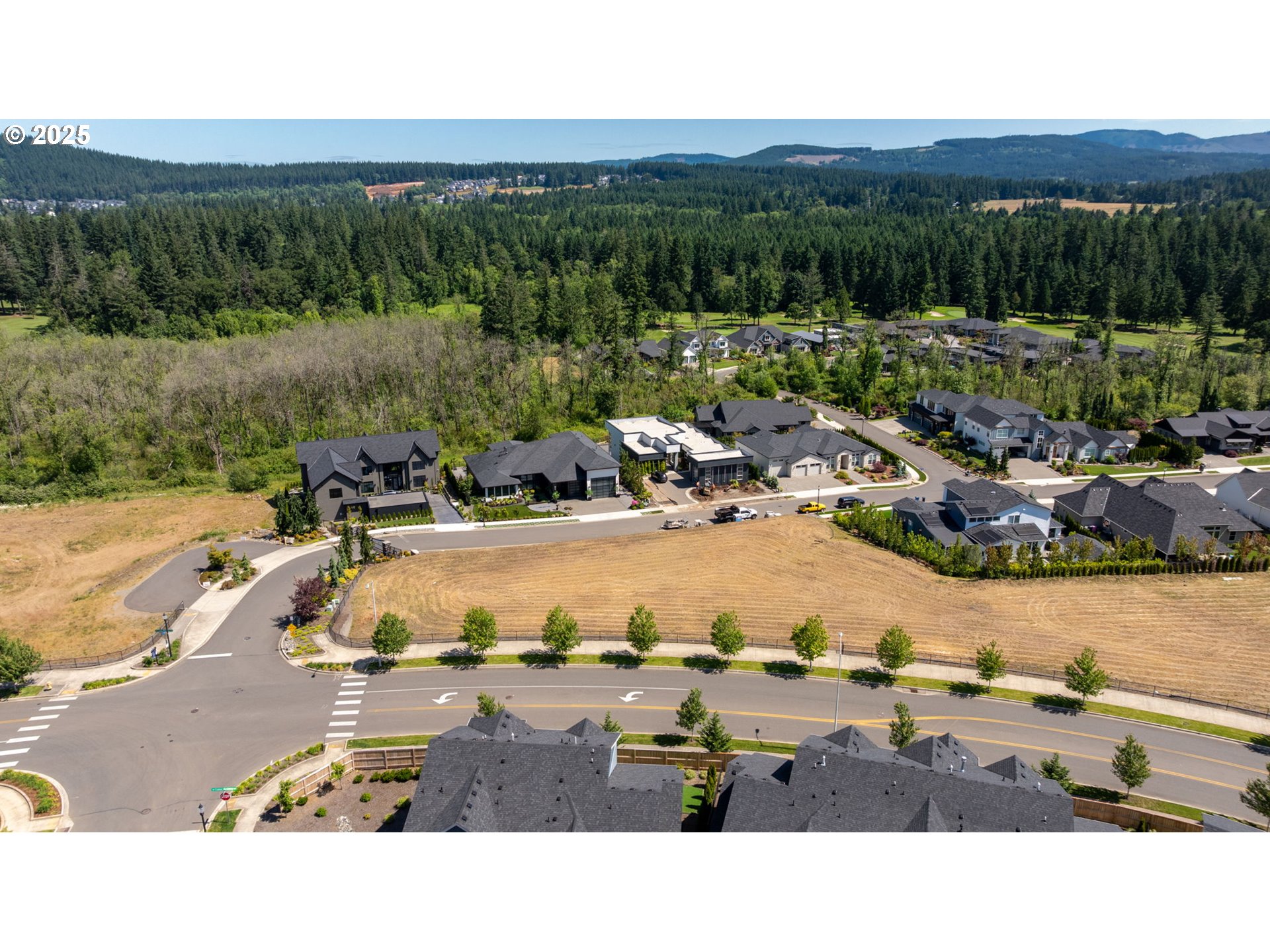 3601 Northwest Camas Meadows Drive Camas, WA 98607 - Photo 9 of 20 a view of a swimming pool and lake view