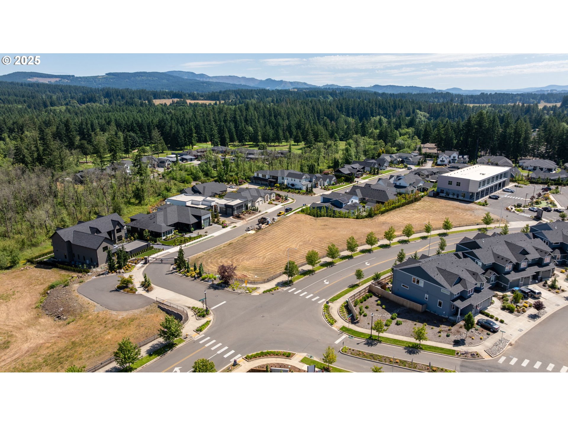 3601 Northwest Camas Meadows Drive Camas, WA 98607 - Photo 10 of 20 a view of a swimming pool and mountain