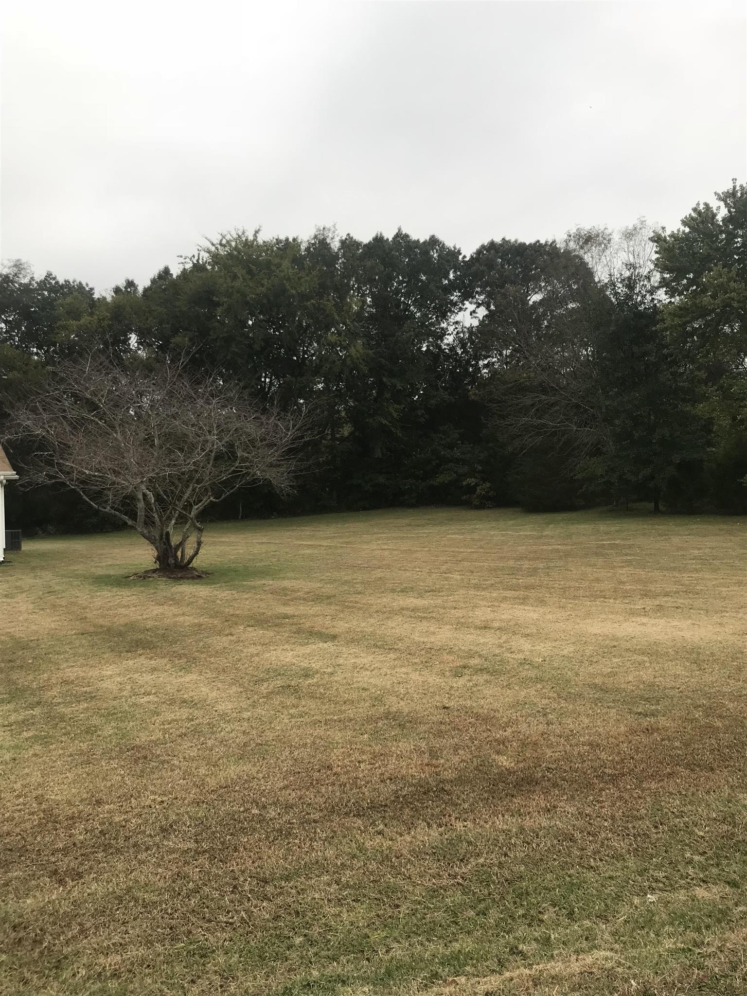 3404 Laurel Mountain Road Murfreesboro, TN 37129 - Photo 16 of 18 Front yard