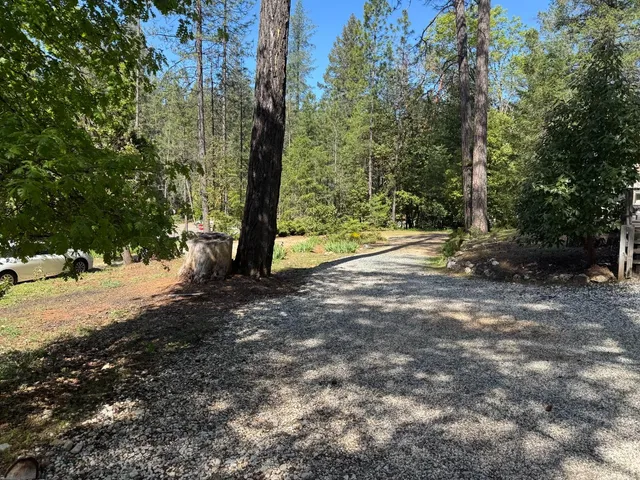 a view of a road with trees
