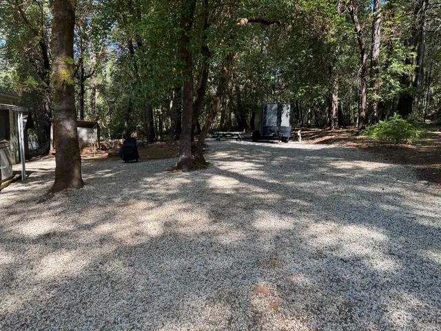 a view of outdoor space with trees