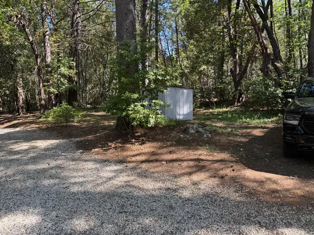 a view of a trees with yard