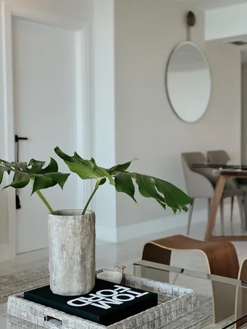 a living room with furniture and a potted plant