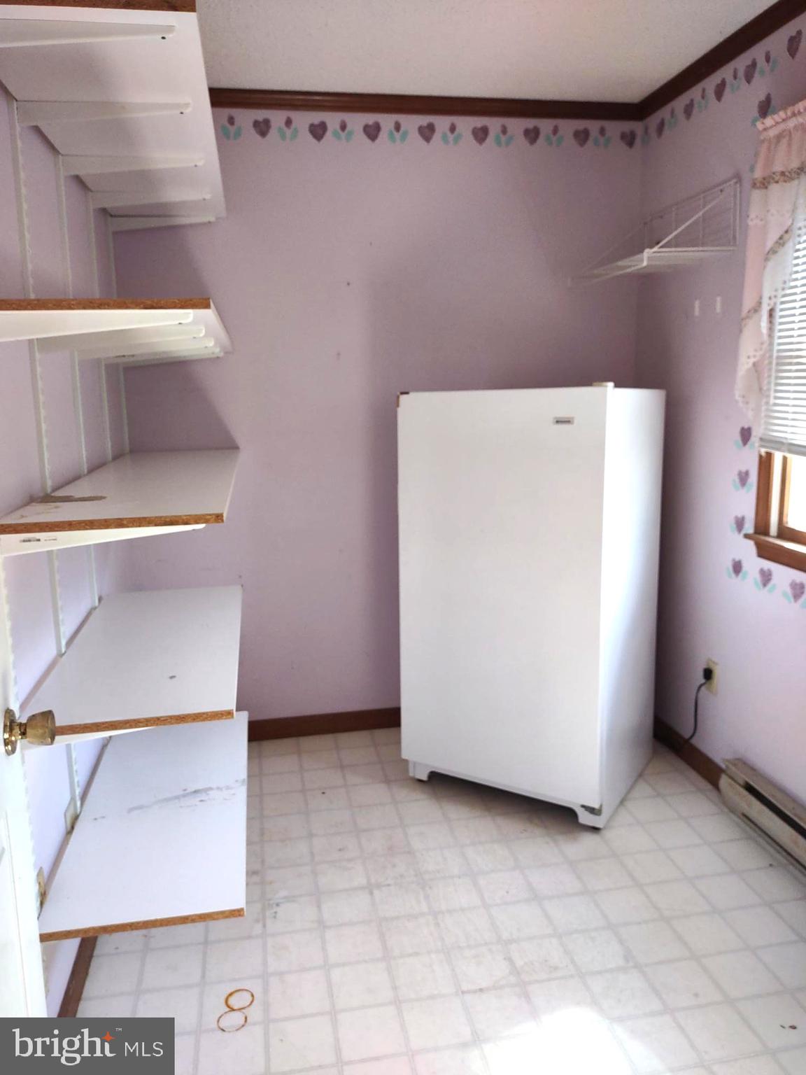 66 Ayers Drive Rising Sun, MD 21911 - Photo 11 of 48 Storage Room - freezer included