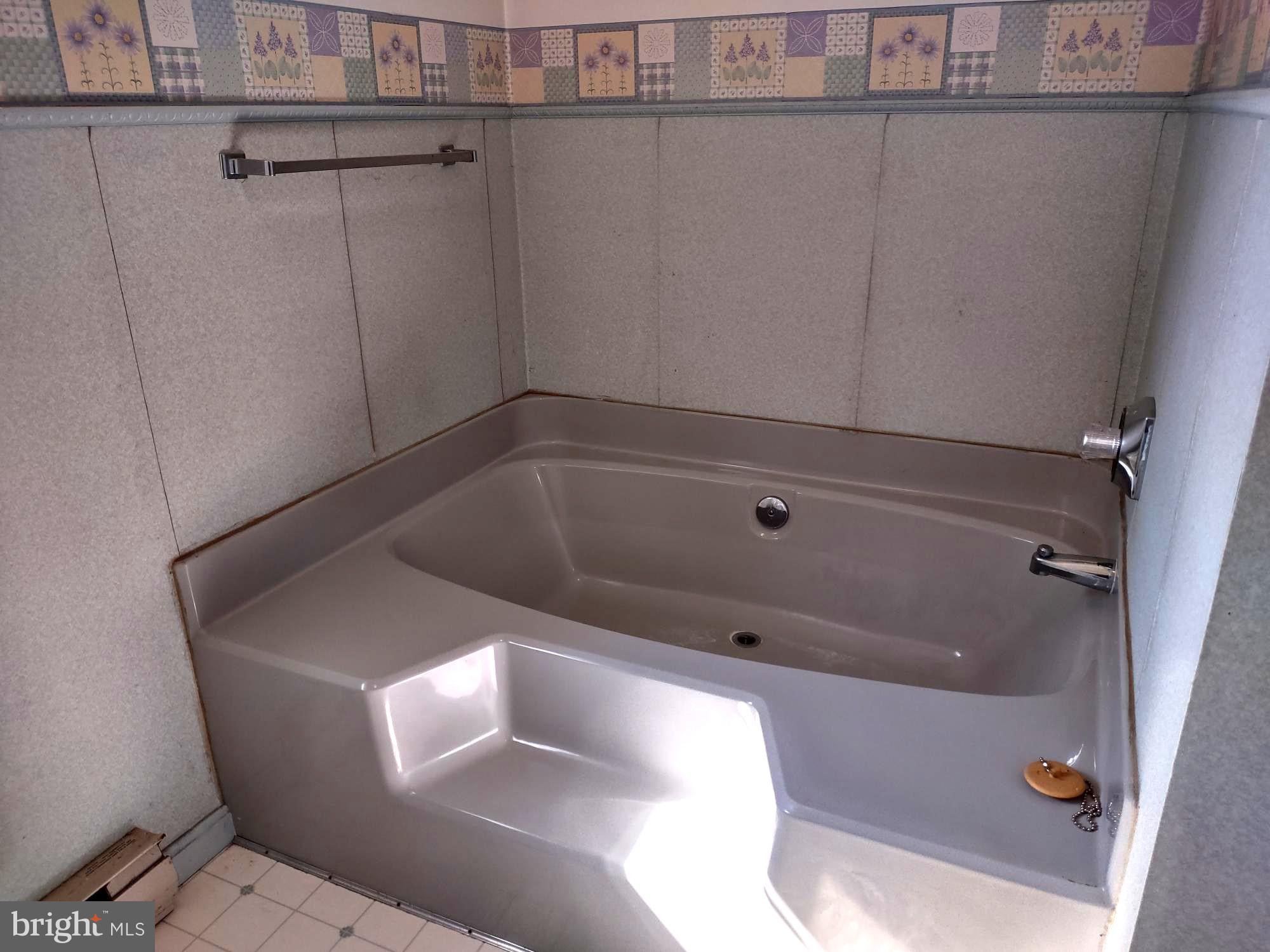 66 Ayers Drive Rising Sun, MD 21911 - Photo 26 of 48 Primary Bathroom - soaking tub